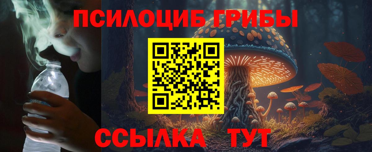 Стерлитамак  Псилоцибиновые грибы Cubensis  цены наркотик  Галлюциногенные грибы GOLDEN TEACHER  Вход с VPN 