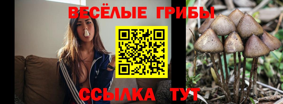 Галлюциногенные грибы Cubensis Стерлитамак